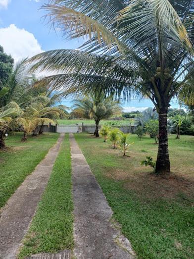 Ti Bijou Baie-Mahault Exterior foto